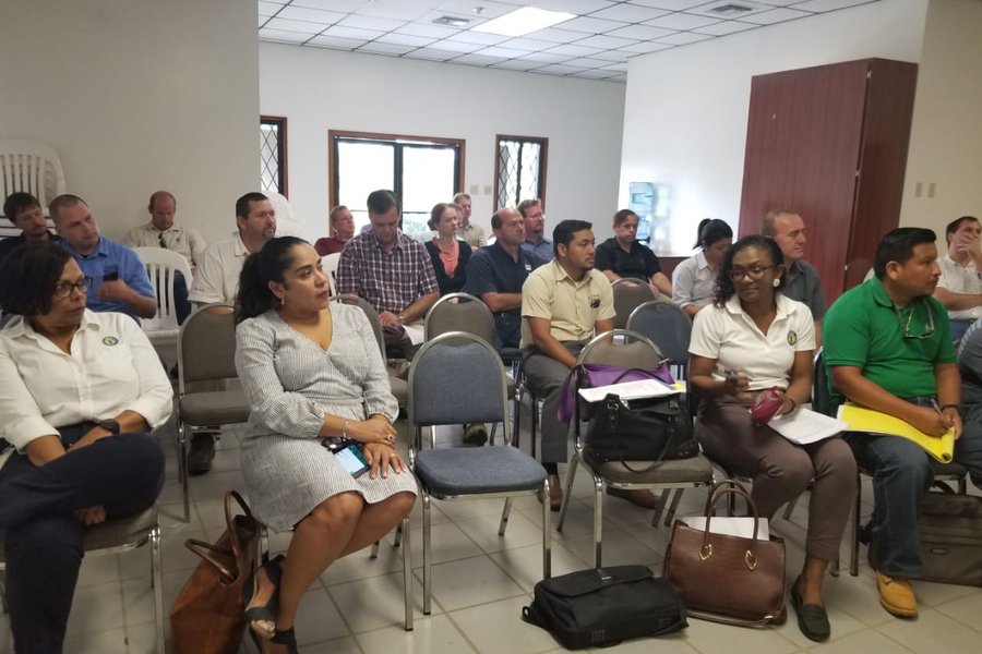 Stakeholder consultation session